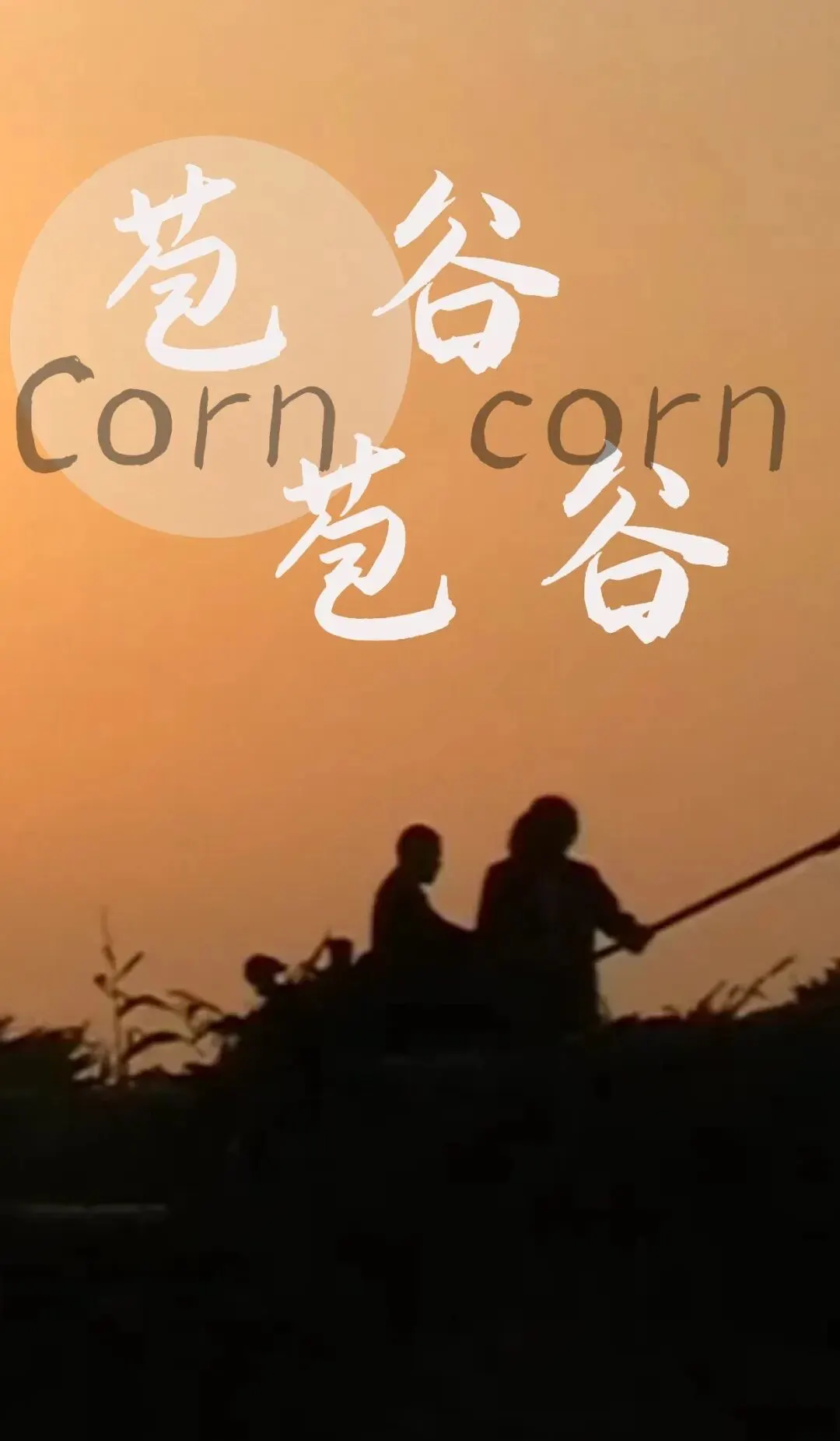 苞谷苞谷
